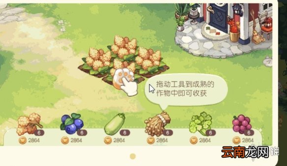 奥比岛梦想国度入门资质考核怎么做 奥比岛手游新手攻略