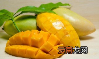 芒果核能保存多久 长期保存芒果核的方法