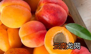 杏子长期保存的方法有哪些 杏子长期保存的方法