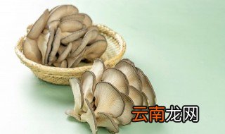 食用菌长期保存方法 食用菌长期保存方法有哪些