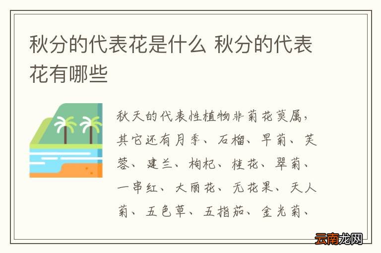 秋分的代表花是什么 秋分的代表花有哪些