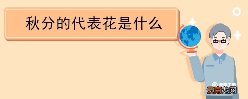 秋分的代表花是什么 秋分的代表花有哪些