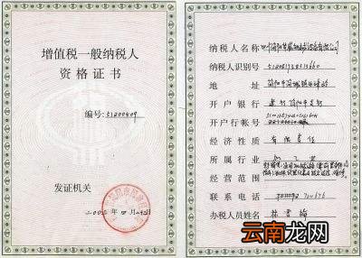 一般纳税人认定标准是什么