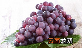 红色和紫色的水果 紫红色的水果有哪些
