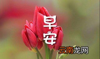 早安语录阳光励志 别致阳光的早安语录