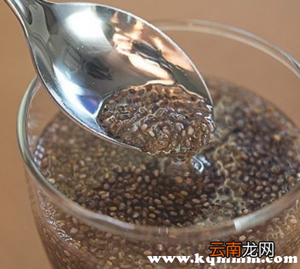 奇亚籽泡水喝的功效，奇亚籽的功效与作用及禁忌