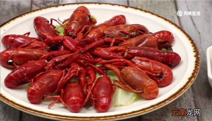 生菜龙虾怎么做好吃 生菜龙虾怎么做