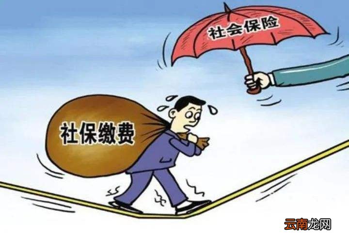 社会保险费一般由谁承担