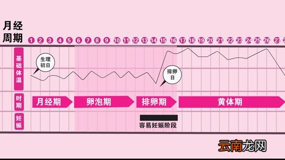 排卵期一般几天？持续多久呢？
