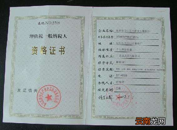 增值税一般纳税人