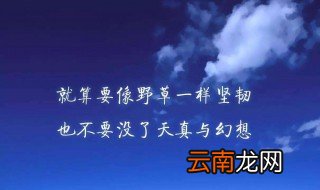 月初第一天励志的语句 有什么好的句子
