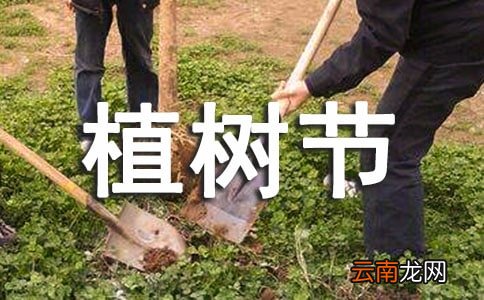 班级植树节的活动总结