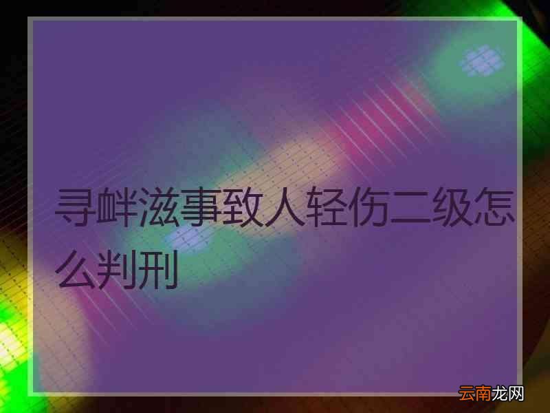 轻伤二级一般会怎么判