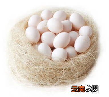 常吃鸽子蛋的惊人变化，长期吃鸽子蛋有什么好处