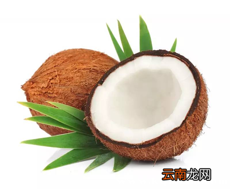 生吃椰子肉的功效与禁忌，生椰子肉的作用和功效与作用