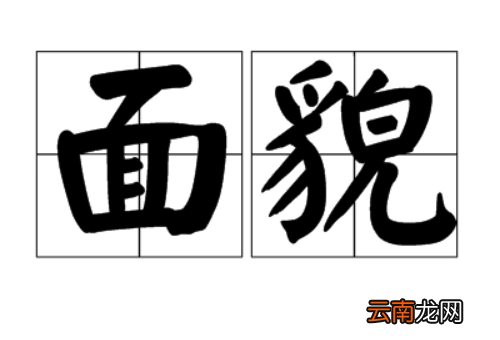一般人政治面貌写什么