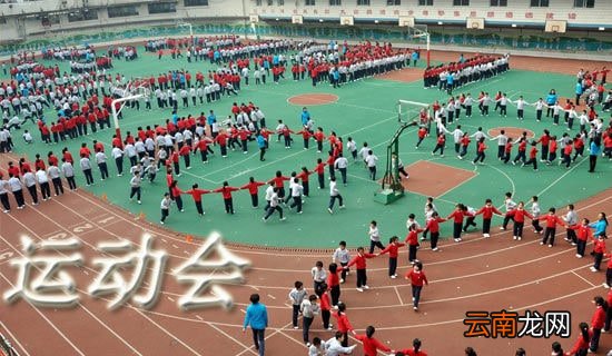 班级趣味运动会活动总结