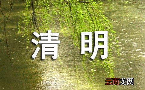 精选6篇 幼儿园班级清明节活动总结