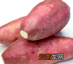 减肥吃烤红薯好还是煮红薯好，减肥吃烤红薯会胖吗