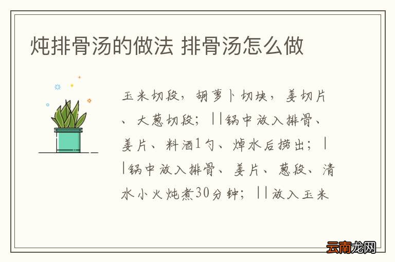 炖排骨汤的做法 排骨汤怎么做