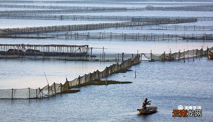 阳澄湖在哪里哪个省 阳澄湖形成的原因