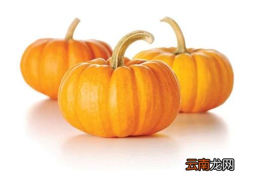 南瓜禁忌和六种食物一起吃，和南瓜相克的食物列表