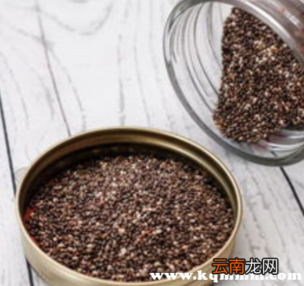 早上空腹吃奇亚籽有什么效果，早上空腹能喝奇亚籽吗