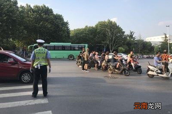 违章一般多少天可以查到