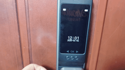 可视大屏猫眼全自动智能锁，看得见的安全守护—TCL Q9智能门锁