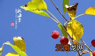 9月22日是什么日子 节日介绍