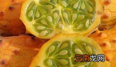 角瓜高产栽培技术 刺角瓜栽培技术要点