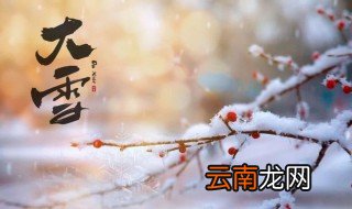 描写大雪节气的诗词 诗人对大雪时节的描写是怎样的