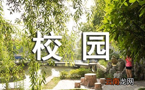 实用的校园综合实践活动总结3篇