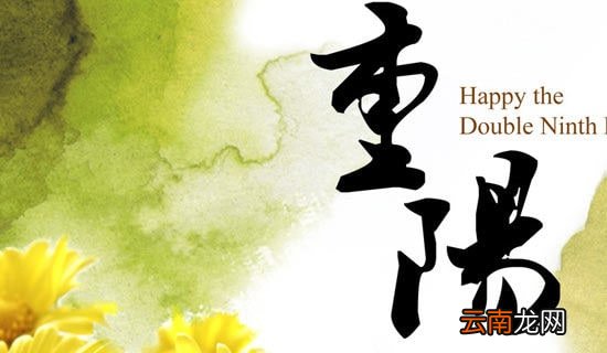 通用8篇 关于班级重阳节活动总结