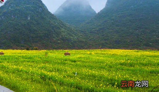 15篇 班级春游活动总结