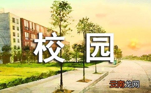 关于校园综合实践活动总结3篇