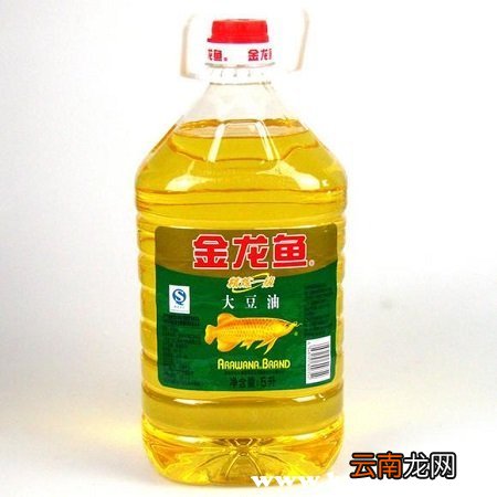 金龙鱼大豆油5升多少钱一桶，金龙鱼5l大豆油价格表