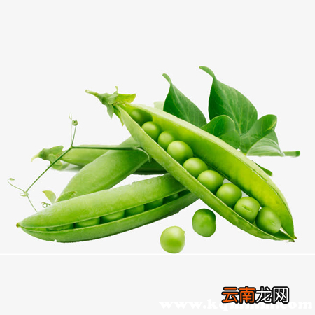 麦豆放在冰箱发芽了可以吃吗，麦豆里面豆子发芽了可以吃吗