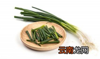 北方什么季节种葱最好 南方种葱适合什么季节播种