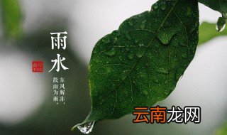 描写雨水节气的诗句 关于雨水这个节气关于雨水这个节气的古诗
