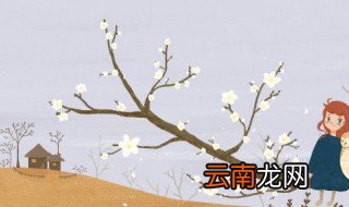 腊梅什么季节栽种 腊梅适合什么季节播种