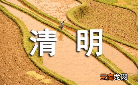 精选10篇 2022幼儿园班级清明节活动总结