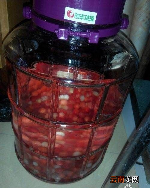 樱桃酒怎么泡制作方法