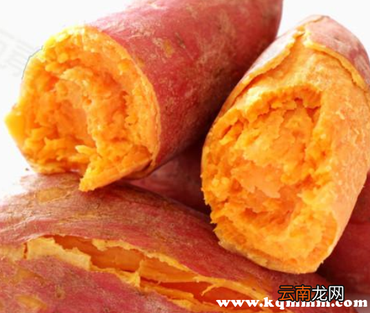 烤地瓜热量高吗会发胖吗，一个红薯相当于几碗饭