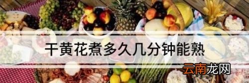 干黄花菜泡几分钟可以煮了没