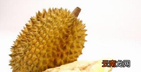 榴莲壳治什么病最快