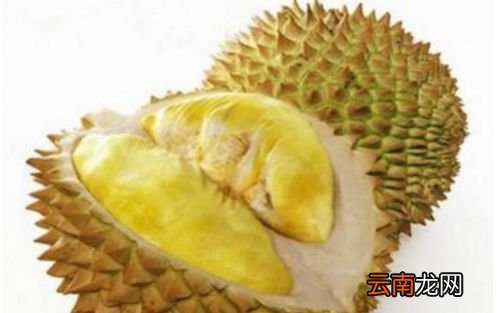 榴莲壳治什么病最快