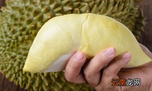 榴莲为什么那么贵