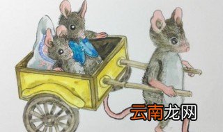 老鼠进家的风水说法 一定要引起注意
