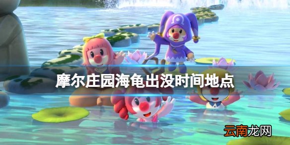 摩尔庄园海龟出没时间地点 摩尔庄园钓海龟攻略